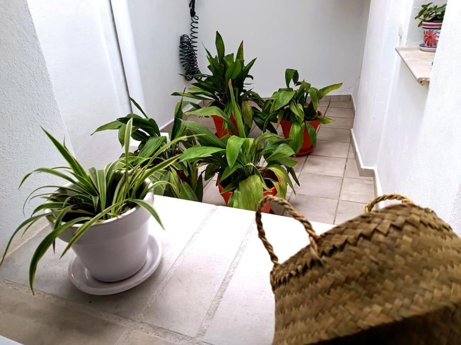 Apartamento Alberzana - Barrio Albaicin - グラナダ エクステリア 写真